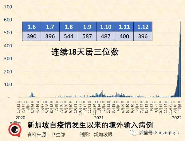 全球疫情挑战，国外输入病例与防控策略应对