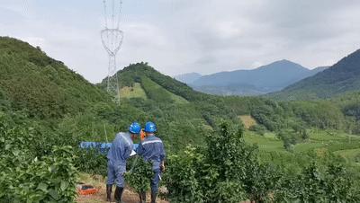 西电最新消息全面解读